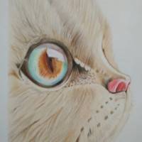 魔幻的登山鞋5327