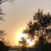 会撒娇的大熊猫1204