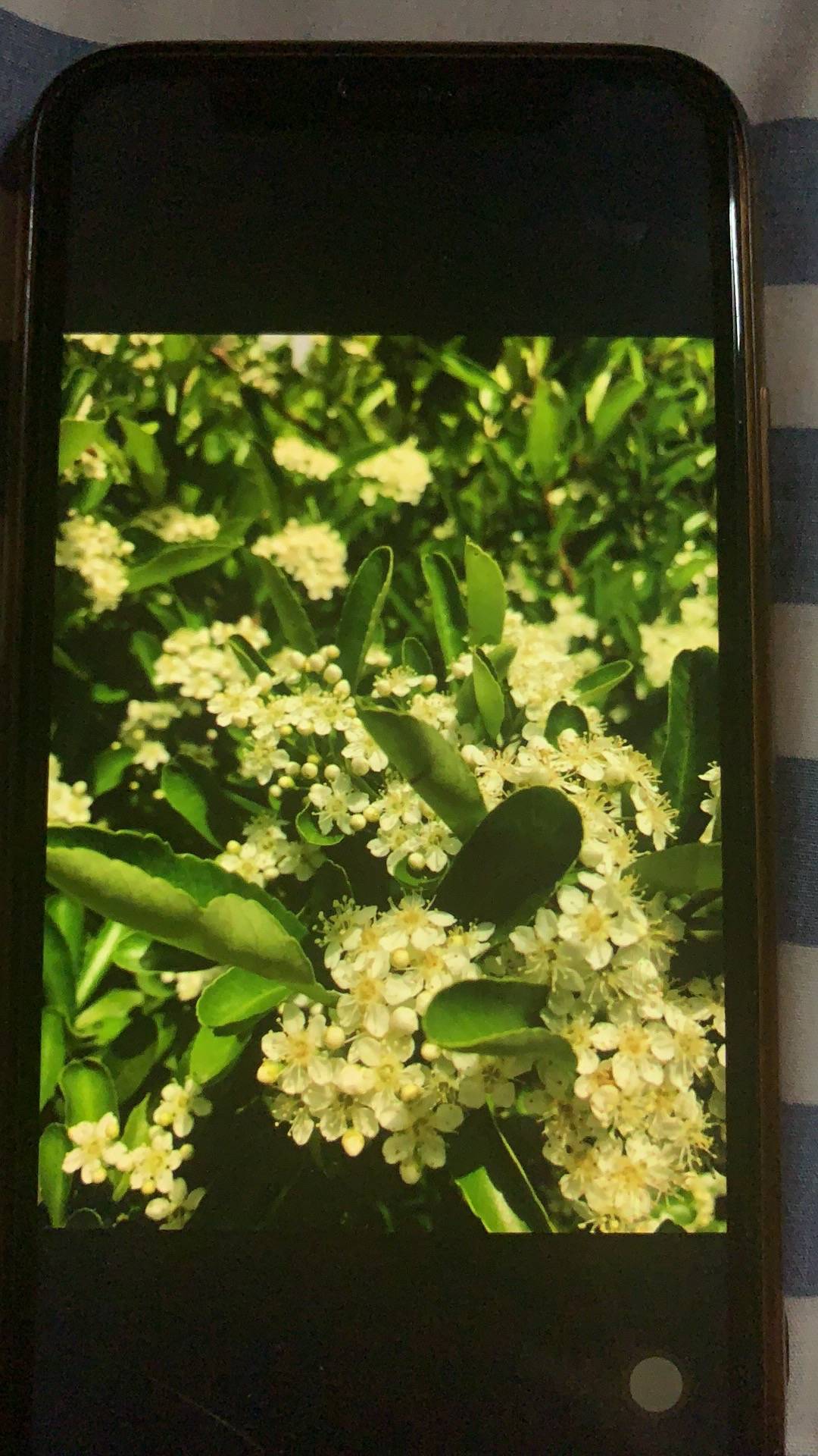 妈妈加油创造奇迹