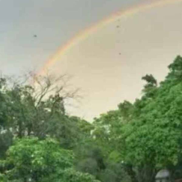 早上的彩虹