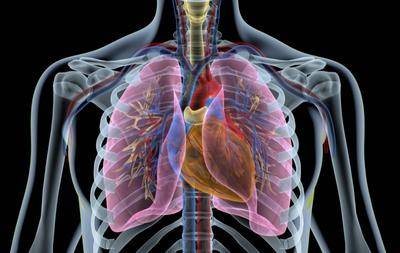 CT报告单提示有肺结节，但弄不清良性恶性，该怎么办？