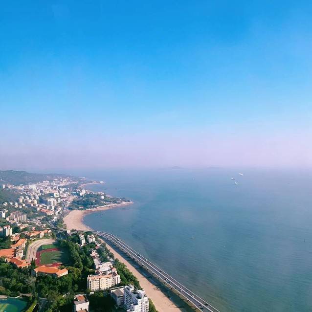 瘦瘦的仙人球5278