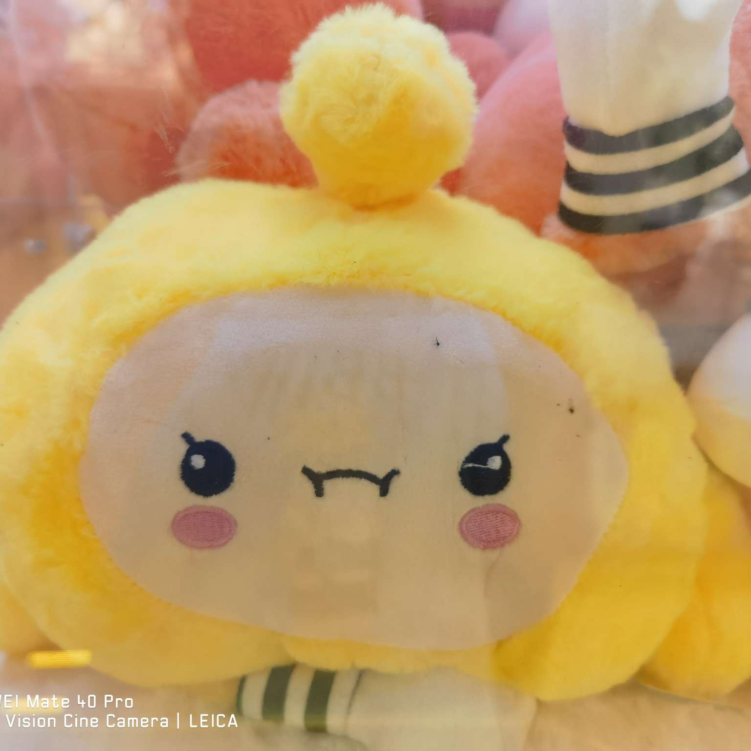 阳光的啄木鸟7797