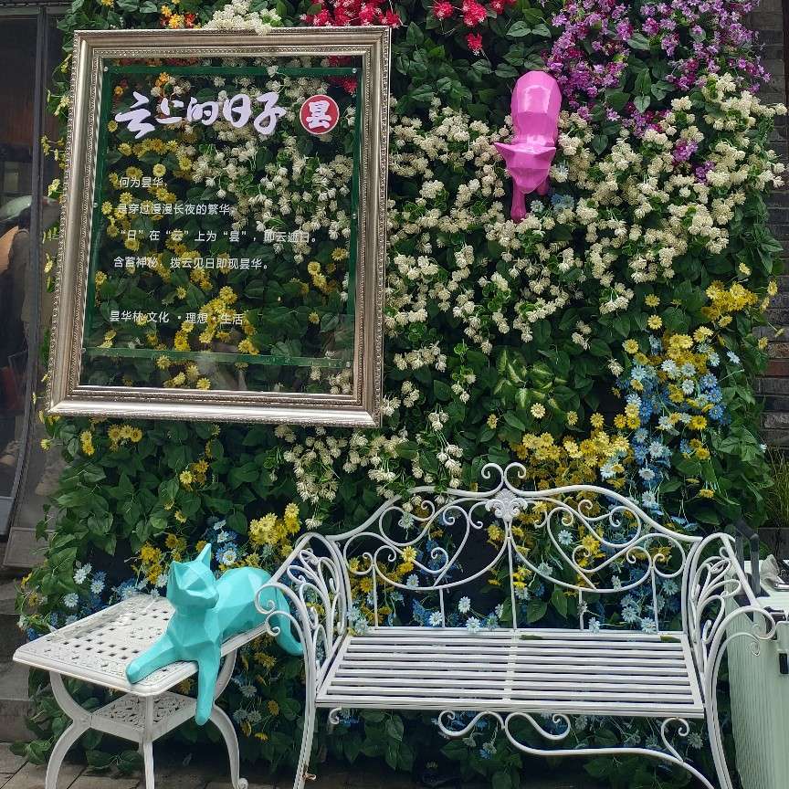 认真的啄木鸟5837