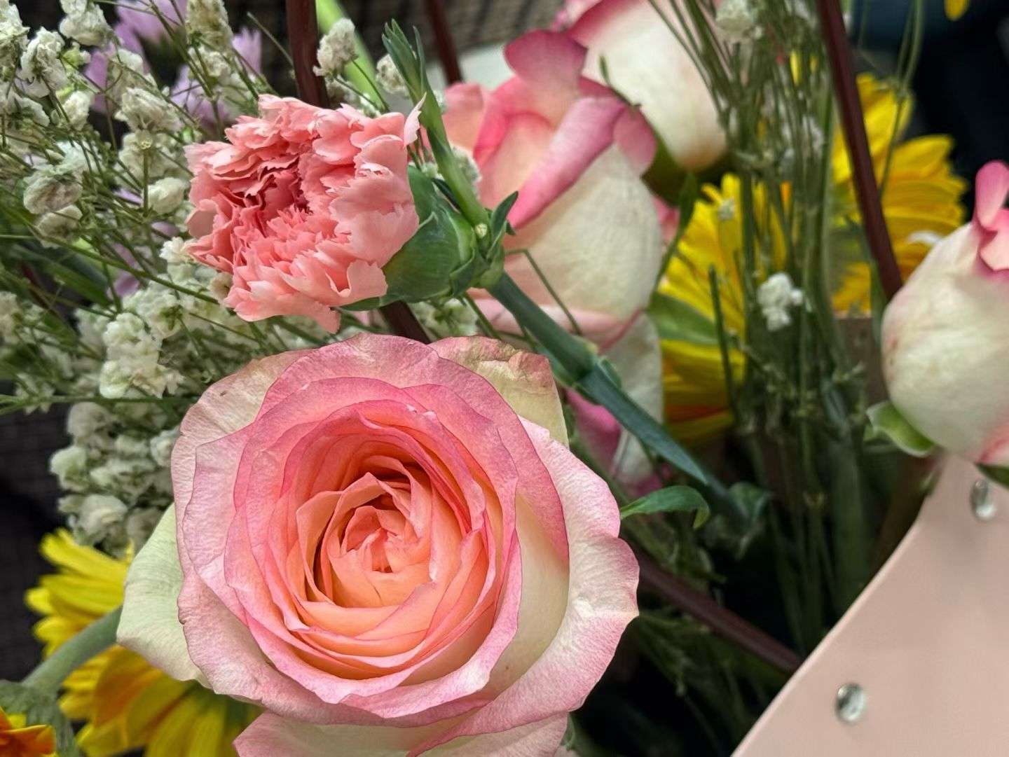 清明没回去莫怪