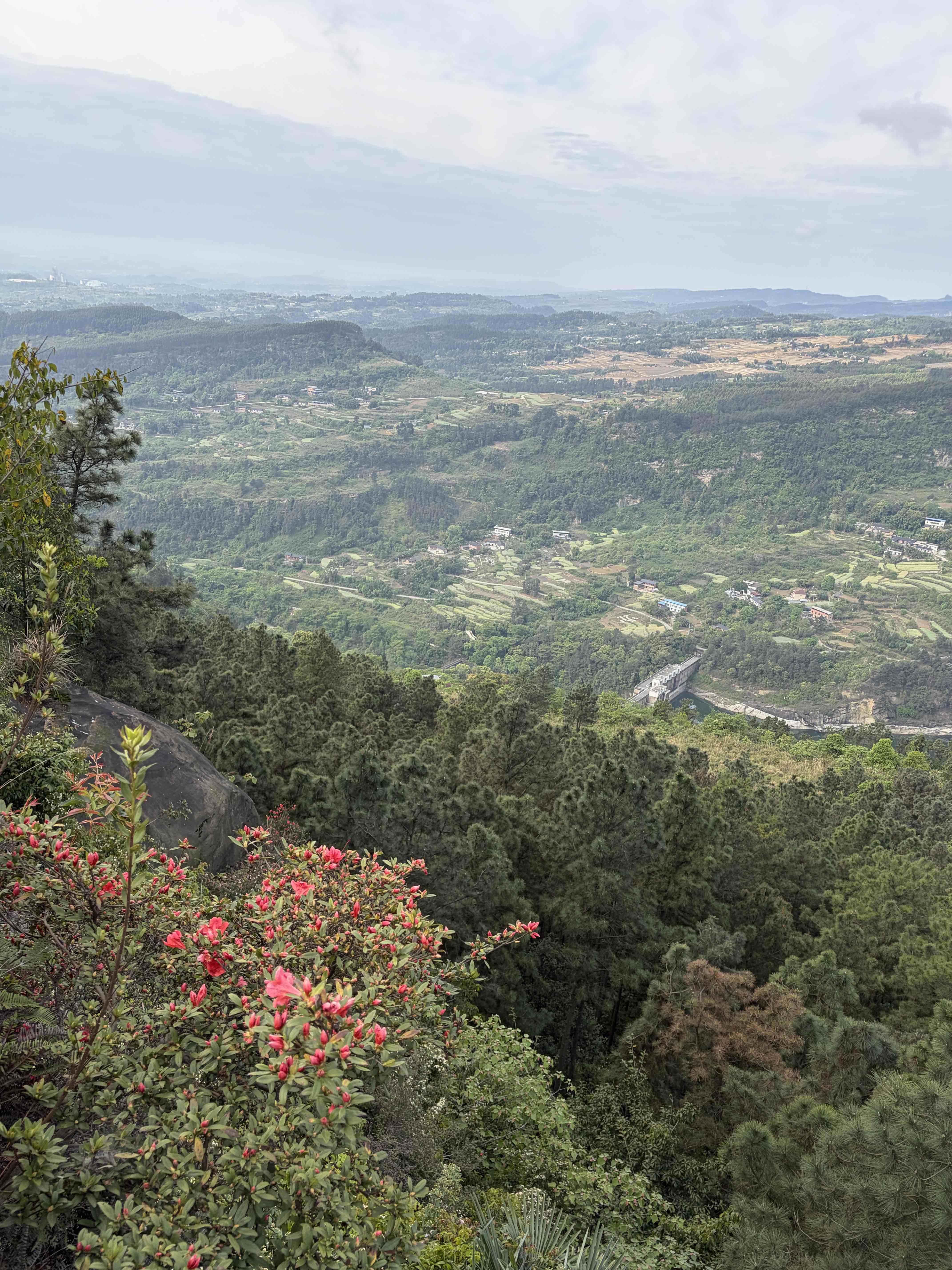 生活日记第1930天