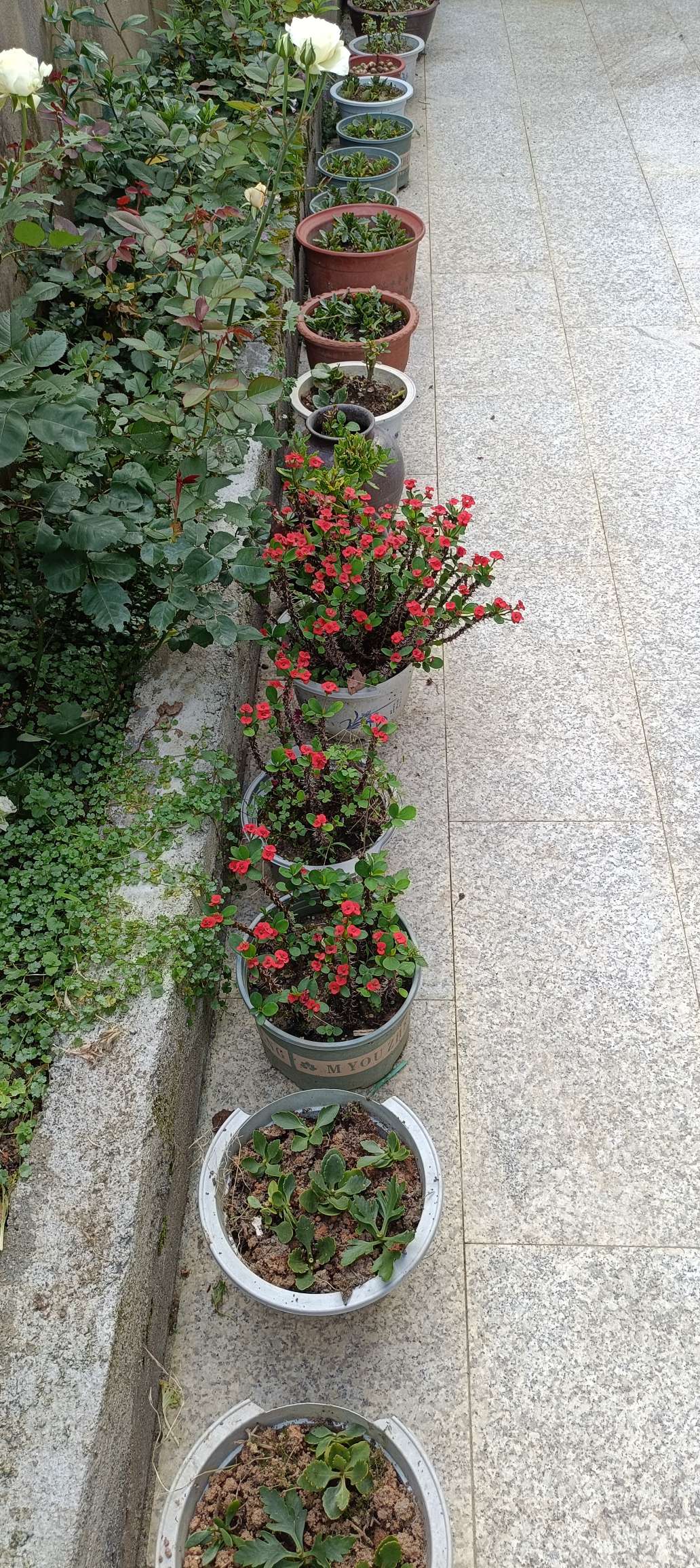 累到趴，收获满