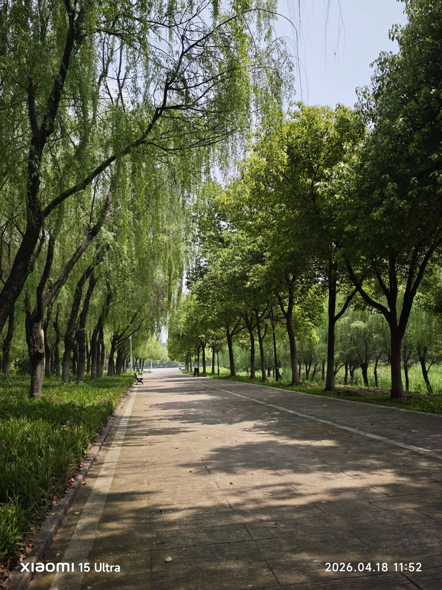 我的绿野仙踪之地