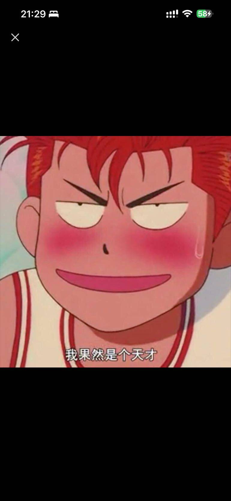 腼腆的长颈鹿6960
