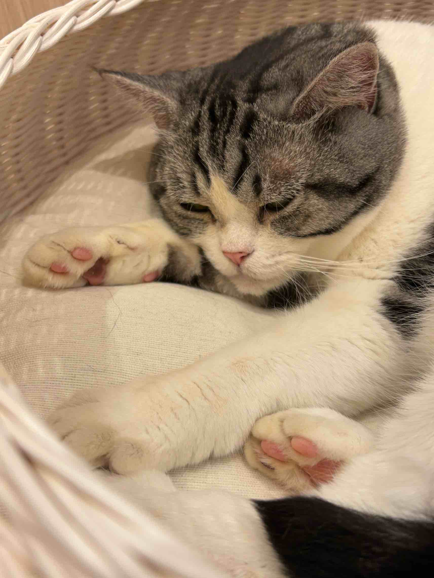 無憂