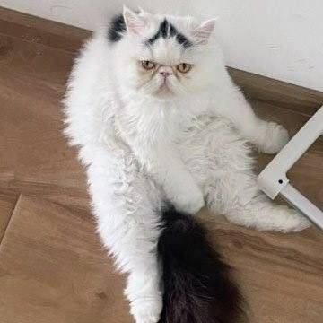 觅友_B81696I358455