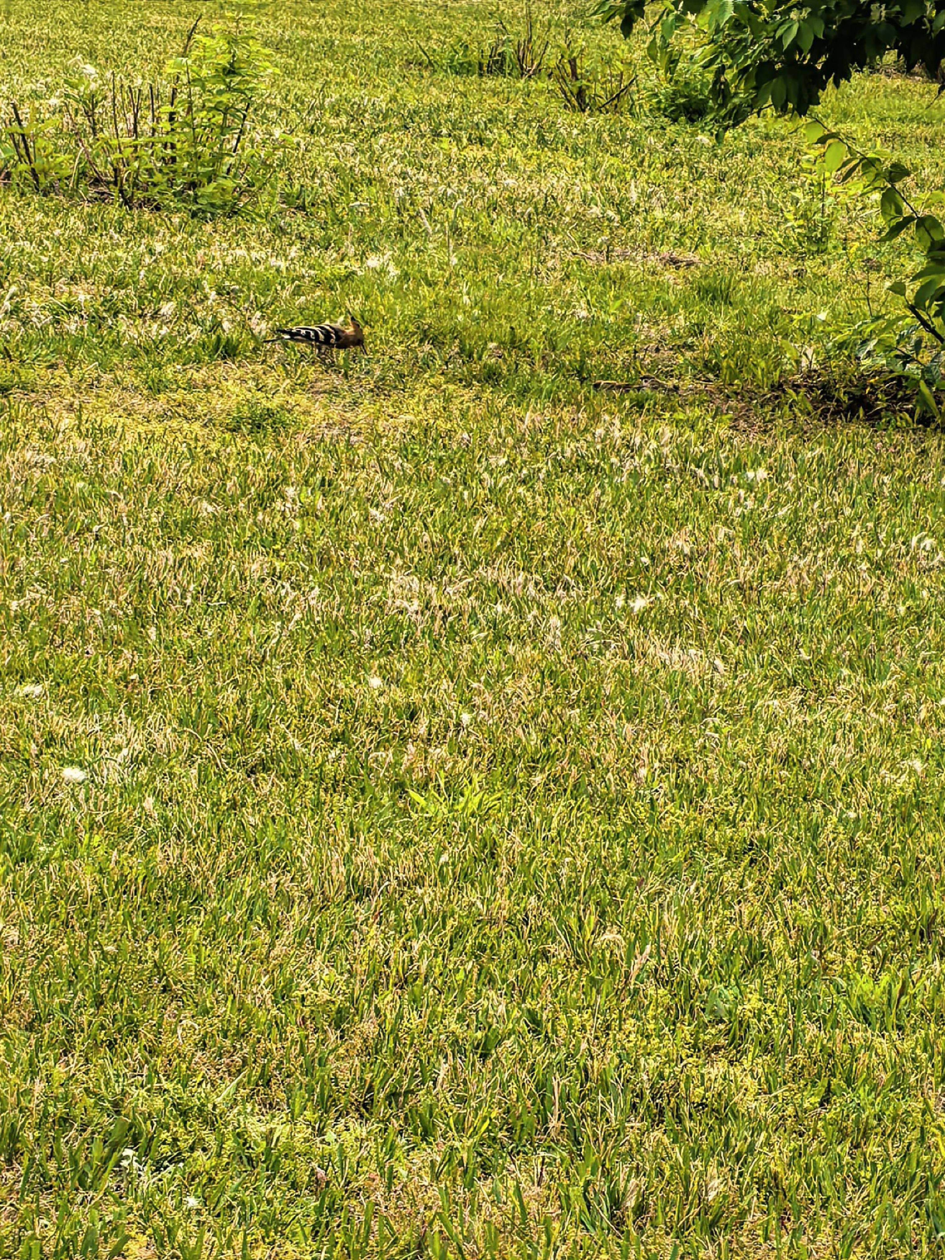 大自然滋润心灵，心灵滋养身体
