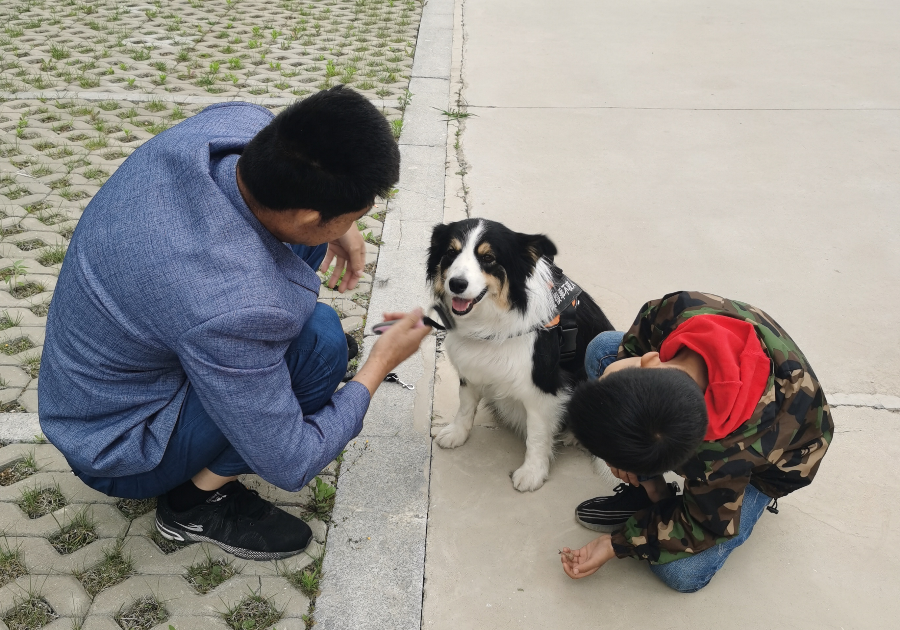 恨时光匆匆，又格外珍惜这匆匆时光（阳光爸爸））