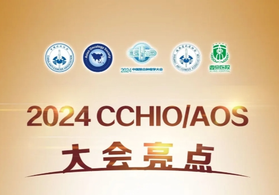 【一图读懂】2024CCHIO大会亮点