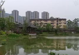 天地就是药,自然就是方